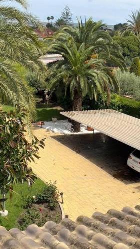 a resort with palm trees and a yellow walkway at Villa Iluminada con chimenea, barbacoa y piscina cerca Playa in Elche