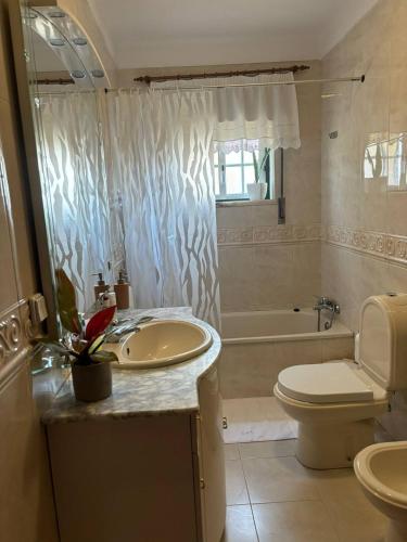 a bathroom with a sink and a toilet and a tub at O Cantinho do Pedro in Tolosa