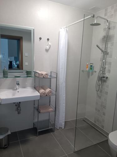 Koupelna v ubytování Apartmán Lesanka