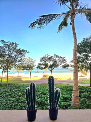 a couple of cactuses sitting next to a palm tree at Seaview Escape Family Two-Room Apartment with Seaview in Ras al Khaimah