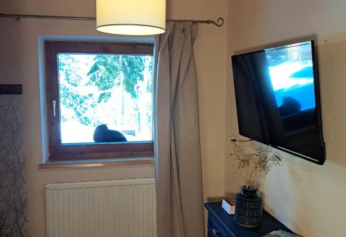 a cat sitting in a window with a television at Naturetouch in Steinberg am Rofan