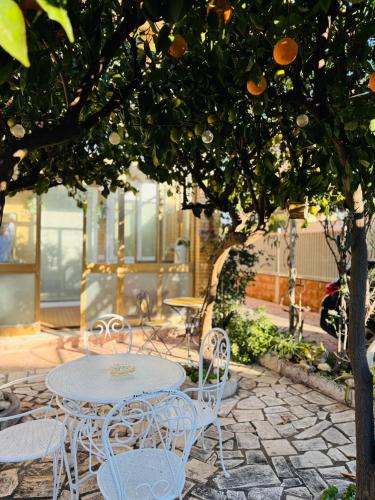 a table and chairs under an orange tree at Fil Rouge in Ciampino