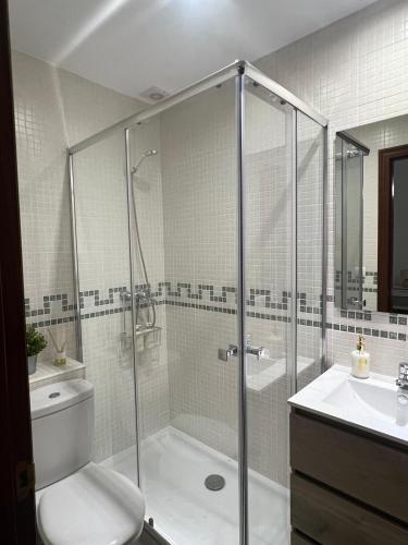 a bathroom with a shower and a toilet and a sink at Apartamento Cerezo in Carmona