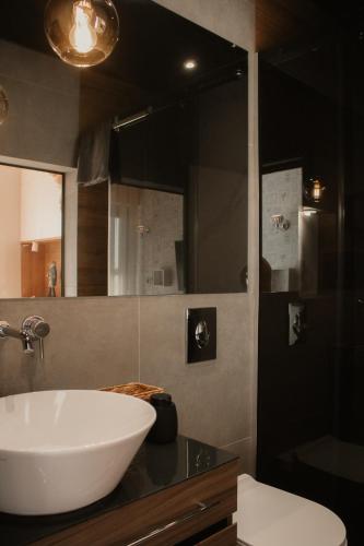 Ein Badezimmer in der Unterkunft Di' Wine House Fruška Gora