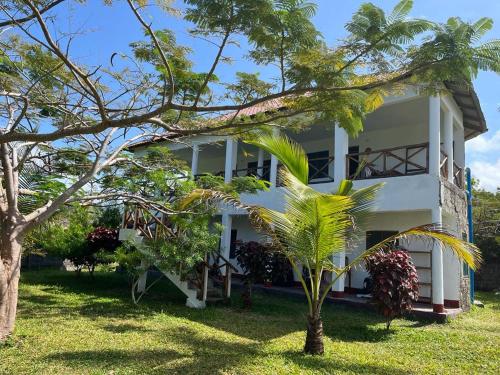 un bâtiment blanc avec un palmier devant dans l'établissement Msafiri House, à Kizimkazi