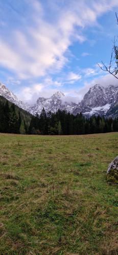 Un paisaje natural cerca del departamento