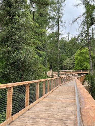 a wooden bridge over a river with trees at Aughrim Holiday Village No 6 by Trident Holiday Homes in Aughrim