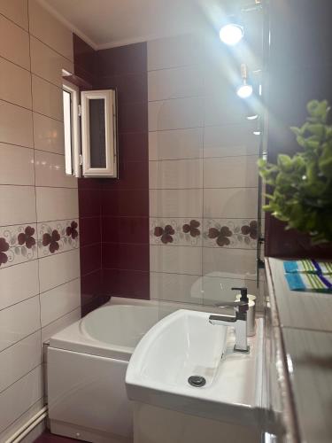a bathroom with a sink and a bath tub and a sink at Apartament 2 Cam Cetate in Alba Iulia