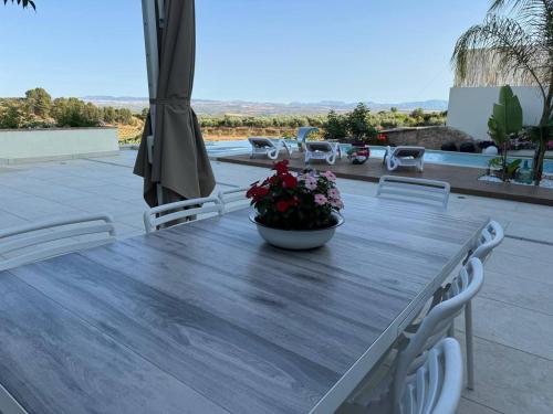 a wooden table with white chairs and a pot of flowers on it at Casa del olivo Lucio en Alomartes in Alomartes