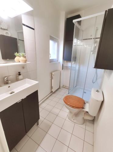 une salle de bain avec une douche, des toilettes et un lavabo dans l'établissement DisneyLand - Paris 20min - Parking - 7 personnes, à Thorigny-sur-Marne