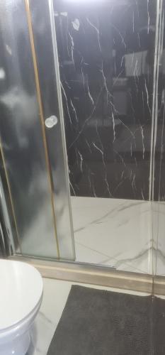 a bathroom with a glass shower with a toilet at Shtepiza Lio liqeni merhojes in Belsh