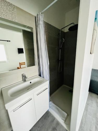 une salle de bain avec un lavabo et une douche dans l'établissement Hotel Le Breton, à Indret