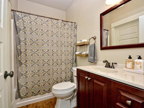 a bathroom with a toilet and a shower curtain at Cabins at Flite Acres - Mountain Laurel in Wimberley
