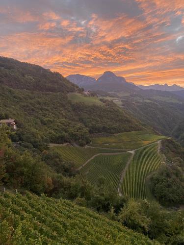 a view of a vineyard in the hills at sunset at Prackfolerhof in Fie allo Sciliar