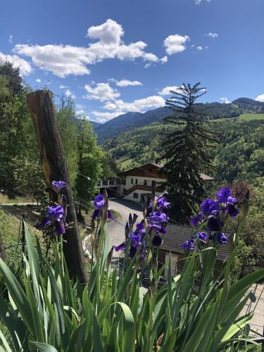a garden with purple flowers in the foreground at Prackfolerhof in Fie allo Sciliar