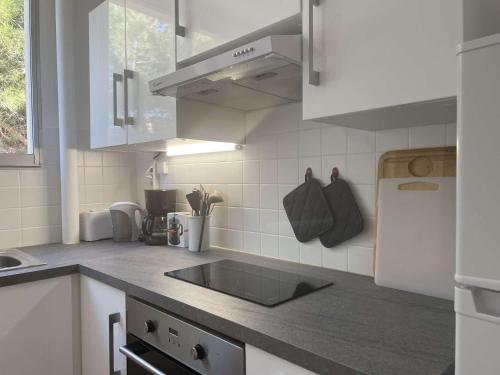 une cuisine avec un évier et un plan de travail dans l'établissement Appart 2 pièces 4 couchages BANYULS SUR MER BN100-D321, à Banyuls-sur-Mer