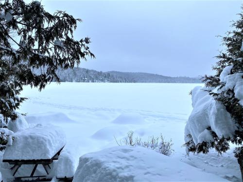 a bench covered in snow next to a body of water at Le1617 - Quai privé, Lac-Les chalets dans le nord in Sainte-Lucie-de-Doncaster