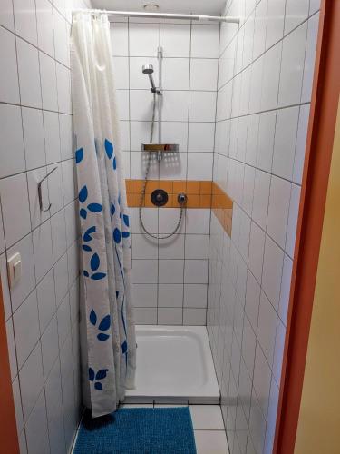 a small bathroom with a shower with a tub at Le Fagotin - Youth hostel in Stoumont