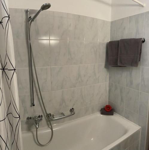 a bathroom with a shower and a bath tub at Al Lido by Fewotessin in Locarno