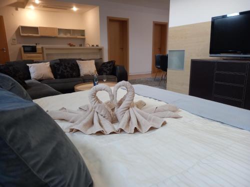 Apartmán Centrumにあるテレビまたはエンターテインメントセンター