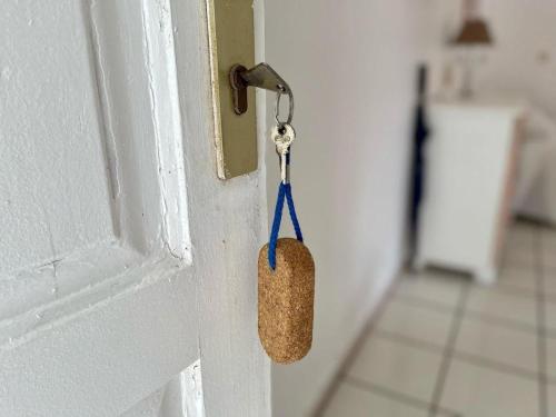 Fotografie z fotogalerie ubytování Appartements CHEZ COCO v destinaci Terre-de-Haut