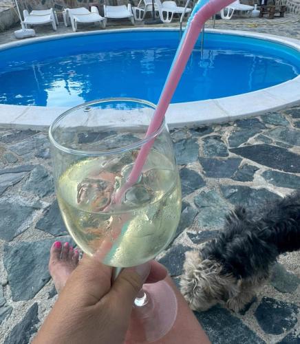 a person holding a glass of wine with a dog at Sunshine villa Dzhigurovo in Sandanski