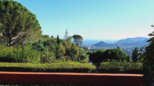 Elle offre une vue sur un jardin avec des arbres et des montagnes. dans l'établissement Superbe appartement terrasse piscine vue panoramique mer et montagnes, à Mandelieu-la-Napoule
