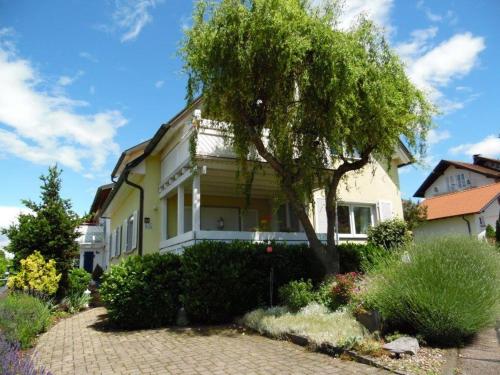Zahrada ubytování Ferienwohnungen Hog , Ringsheim