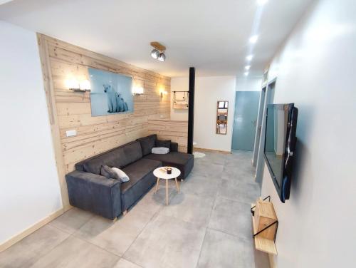 Μια τηλεόραση ή/και κέντρο ψυχαγωγίας στο Le Bois Cosy appartement 4 étoiles 6 personnes, ACCES SKI ALPE D'HUEZ GRAND DOMAINE A 3 K M