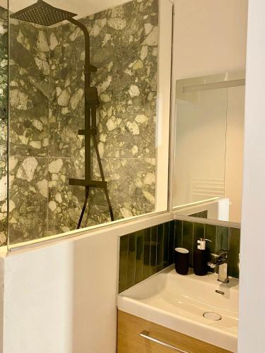 Vannituba majutusasutuses Beau T3 Spacieux, lumineux et central