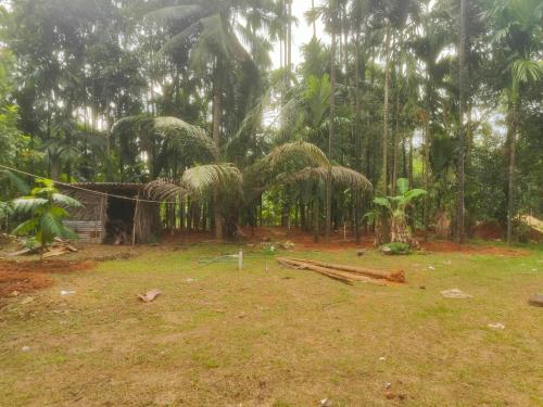 a yard with palm trees and a fence at Gowri farm stay in Kōtatattu