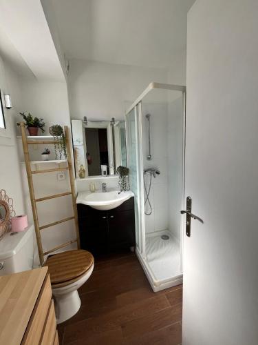 une salle de bain avec une douche, des toilettes et un lavabo dans l'établissement Terrasse, piscine, clim, proche aéroport et plage, à Saint-Laurent-du-Var