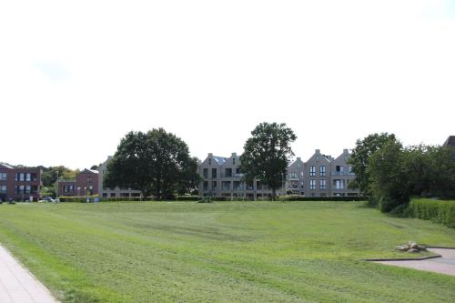 a large grassy field with houses in the background at Ferienhaus Strandnest Dangast in Dangast