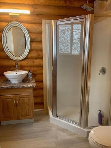 a bathroom with a shower and a sink and a mirror at Log lofted rustic cabin in woods in Kelowna