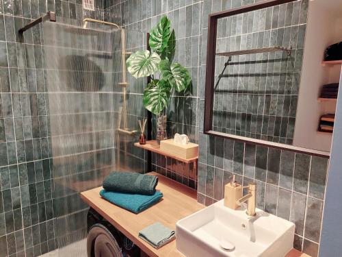 une salle de bain avec un lavabo et un miroir dans l'établissement Grand studio avec terrasse à 20 m de la plage, à Nice