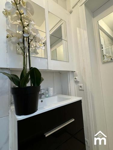 La salle de bains est pourvue d'un lavabo et d'une plante en pot. dans l'établissement Eiffel Tower by Melvane, à Paris