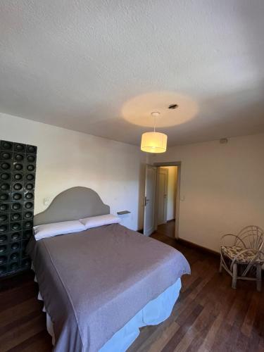 a bedroom with a large bed and a lamp at TEROTERO Lake Hostel - Habitación Gutiérrez in San Carlos de Bariloche