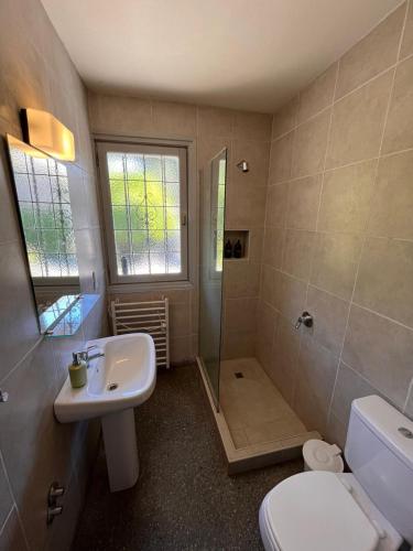 a bathroom with a toilet and a sink and a shower at TEROTERO Lake Hostel - Habitación Gutiérrez in San Carlos de Bariloche