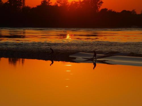 two birds walking on the beach at sunset at Chateau de la Vieille Chapelle in Lugon et l’Ile du Carney