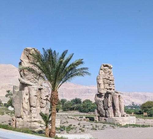 una palmera junto a una formación rocosa en el desierto en Al Ramla Guest House, en Luxor