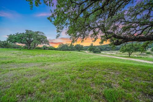 a grassy field with a tree and a dirt road at Hidden Hills in Fischer