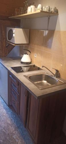 Кухня или мини-кухня в Apartmány Žiaková - ubytování Nové Hrady 111
