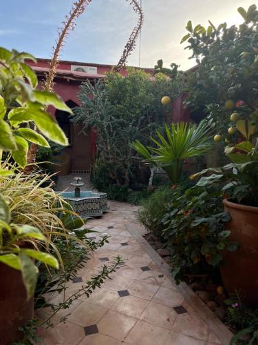 a garden with plants and a stone walkway at Riad Beldi by MaHa in Oulad Teima