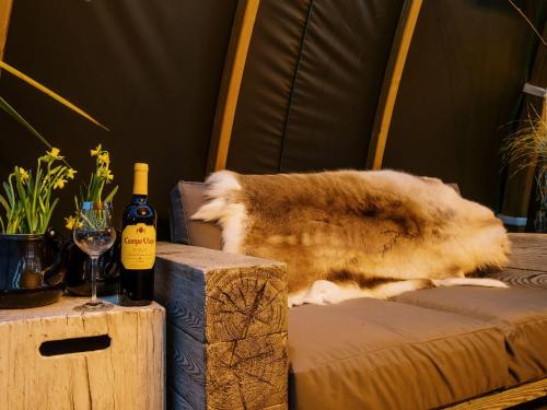 a cat laying on a chair next to a bottle of wine at Herbie's Shepherds Hut at Shepherds Lodge Retreat and Wellness in Nottingham