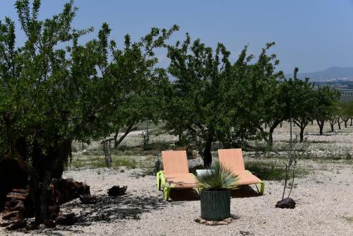 two chairs and a plant in a field with trees at Hacienda Cabreras in Villena