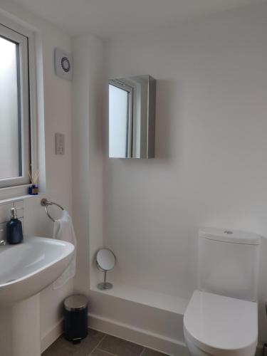 a white bathroom with a sink and a toilet at 3 bed countryside cottage with use of private pool in Norwich