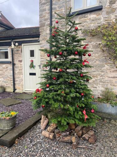 a christmas tree in front of a house at Rivington Barn in Kerne Bridge