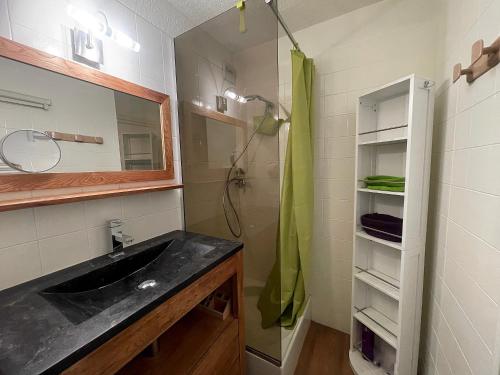 une salle de bain avec un lavabo et une douche dans l'établissement Parnasse 413 - Appartement centre, à La Clusaz