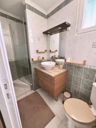 une salle de bain avec un lavabo, des toilettes et une douche dans l'établissement Maison au cœur du village - Cocon de Provence, à Puget-sur Argens