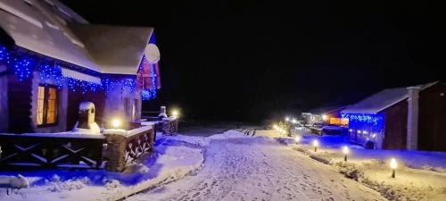 a house covered in snow at night with blue lights at Ośrodek Wczasowy Na Borach in Korbielów